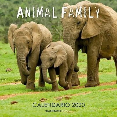 CALENDARIO ANIMAL FAMILY 2020 | 9788448026189 | AA. VV. | Llibreria La Gralla | Librería online de Granollers