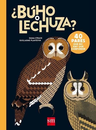 BUHO O LECHUZA? | 9788467597783 | STRACK, EMMA | Llibreria La Gralla | Llibreria online de Granollers