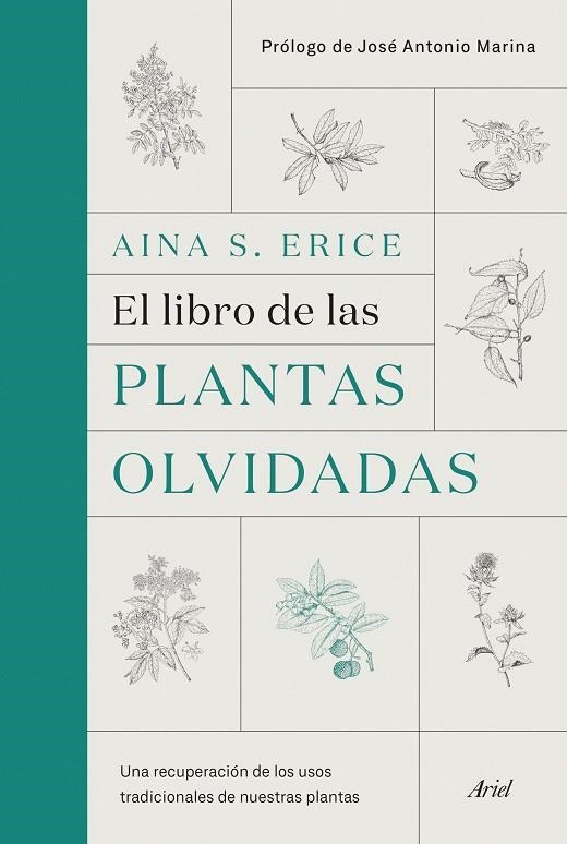 LIBRO DE LAS PLANTAS OLVIDADAS, EL | 9788434431461 | ERICE, AINA S. | Llibreria La Gralla | Librería online de Granollers