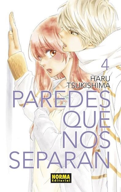 PAREDES QUE NOS SEPARAN 04 | 9788467939026 | TSUKISHIMA, HARU | Llibreria La Gralla | Llibreria online de Granollers