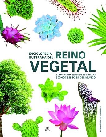 ENCICLOPEDIA ILUSTRADA DEL REINO VEGETAL | 9788466232722 | MARTUL HERNÁNDEZ, CARMEN | Llibreria La Gralla | Llibreria online de Granollers