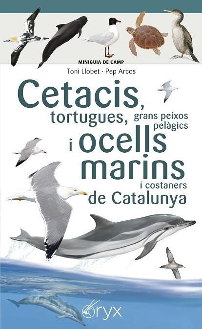 CETACIS, TORTUGUES, GRANS PEIXOS PELÀGICS I OCELLS MARINS DE CATALUNYA | 9788490349441 | LLOBET FRANÇOIS , TONI/ARCOS XX, PEP | Llibreria La Gralla | Llibreria online de Granollers