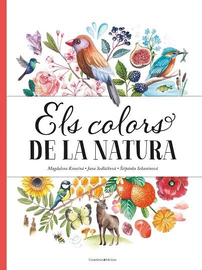 COLORS DE LA NATURA, ELS | 9788490349243 | SEDLÁKOVÁ , JANA/SEKANINOVÁ, ?T?PÁNKA | Llibreria La Gralla | Llibreria online de Granollers