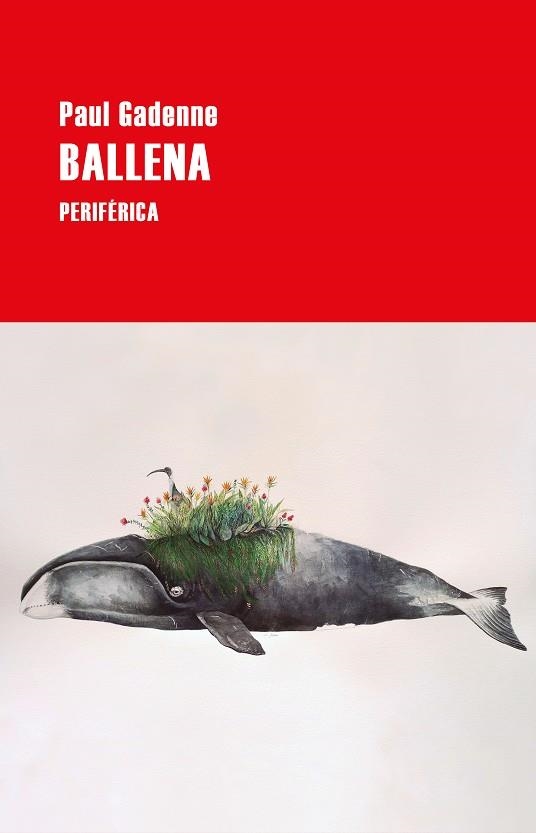 BALLENA | 9788418264542 | GADENNE, PAUL | Llibreria La Gralla | Llibreria online de Granollers