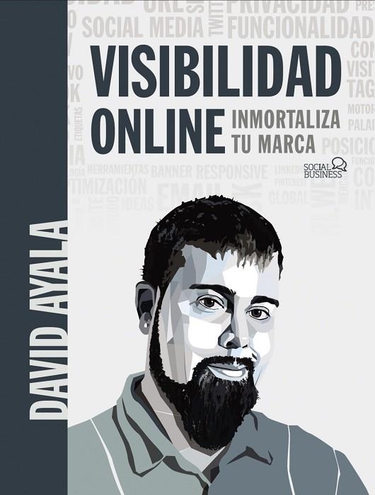 VISIBILIDAD ONLINE | 9788441542402 | AYALA, DAVID | Llibreria La Gralla | Librería online de Granollers