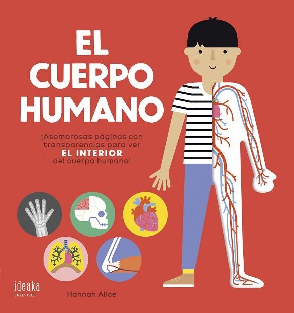 CUERPO HUMANO, EL | 9788414022092 | NOSY CROW | Llibreria La Gralla | Llibreria online de Granollers