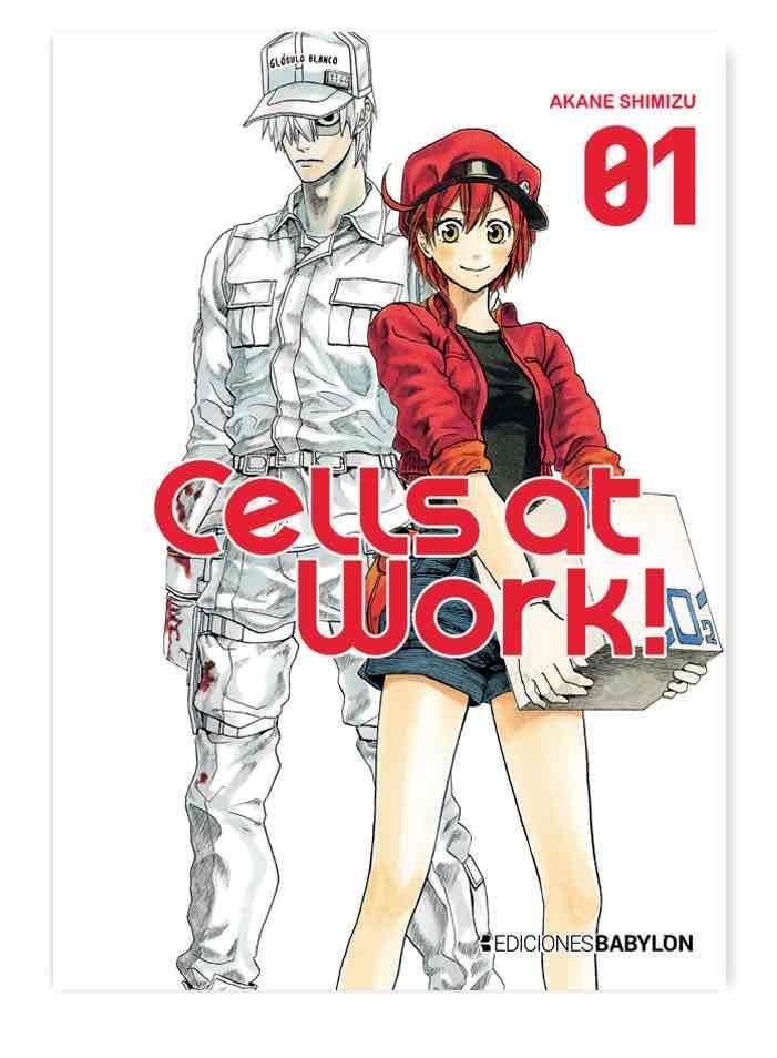 CELLS AT WORK! 01 | 9788416703890 | SHIMIZU, AKANE | Llibreria La Gralla | Llibreria online de Granollers