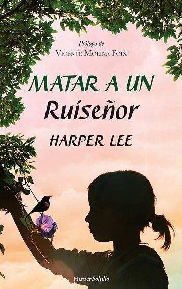 MATAR A UN RUISEÑOR | 9788417216948 | LEE, HARPER | Llibreria La Gralla | Librería online de Granollers