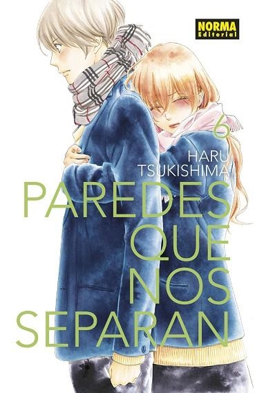 PAREDES QUE NOS SEPARAN 06 | 9788467939040 | HARU TSUKISHIMA | Llibreria La Gralla | Llibreria online de Granollers