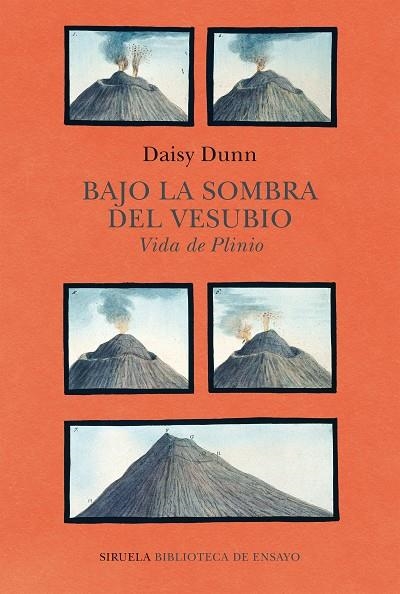BAJO LA SOMBRA DEL VESUBIO | 9788418708459 | DUNN, DAISY | Llibreria La Gralla | Librería online de Granollers