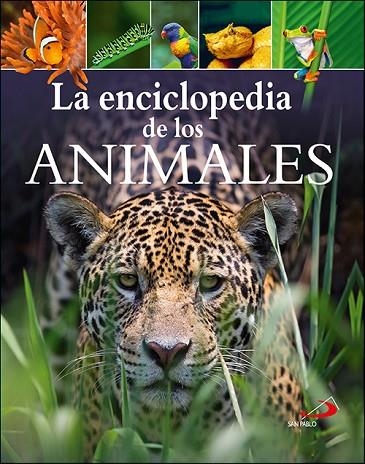 ENCICLOPEDIA DE LOS ANIMALES, LA | 9788428557511 | LEACH, MICHAEL/LLAND, MERIEL | Llibreria La Gralla | Llibreria online de Granollers