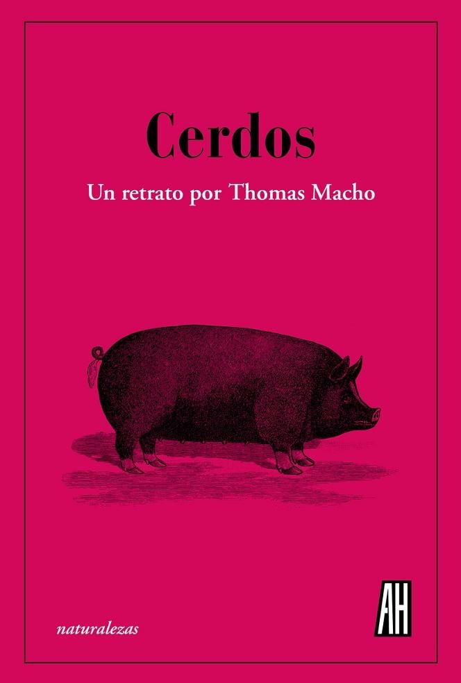 CERDOS | 9788412403398 | MACHO, THOMAS | Llibreria La Gralla | Librería online de Granollers
