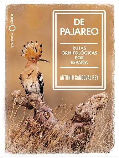 DE PAJAREO | 9788408251514 | SANDOVAL, ANTONIO | Llibreria La Gralla | Librería online de Granollers