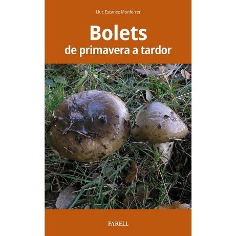 BOLETS DE PRIMAVERA A TARDOR | 9788417116538 | ESCANEZ MONFERRER, LLUC | Llibreria La Gralla | Librería online de Granollers
