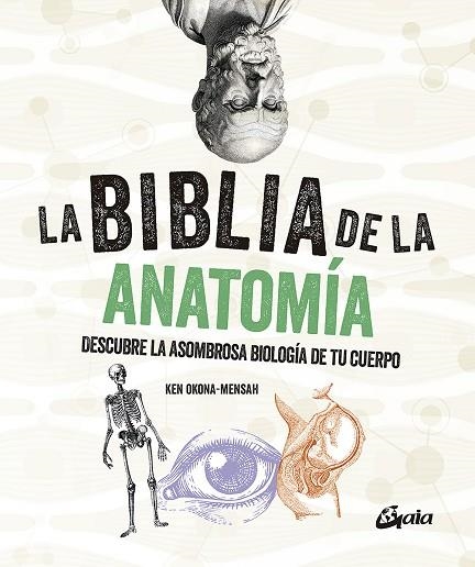 BIBLIA DE LA ANATOMÍA, LA | 9788484459521 | OKONA-MENSAH, KEN | Llibreria La Gralla | Llibreria online de Granollers