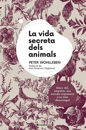 LA VIDA SECRETA DELS ANIMALS | 9788413561820 | WOHLLEBEN, PETER | Llibreria La Gralla | Librería online de Granollers