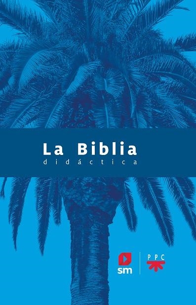 BIBLIA DIDÁCTICA, LA  - CEE | 9788413183039 | AA.VV | Llibreria La Gralla | Llibreria online de Granollers