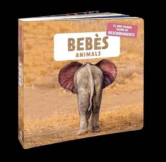 BEBÈS ANIMALS | 9788418762109 | NATURAGENCY | Llibreria La Gralla | Llibreria online de Granollers