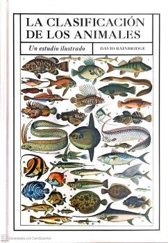 CLASIFICACION DE LOS ANIMALES, LA  | 9788428217521 | BAINBRIDGE, DAVID | Llibreria La Gralla | Llibreria online de Granollers