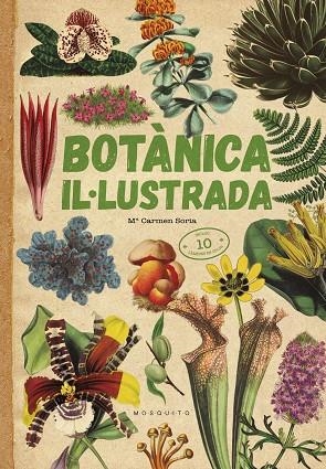 BOTÀNICA IL·LUSTRADA | 9788419095091 | SORIA, CARMEN | Llibreria La Gralla | Llibreria online de Granollers