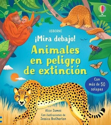 ANIMALES EN PELIGRO DE EXTINCION | 9781803703121 | JAMES, ALICE | Llibreria La Gralla | Librería online de Granollers
