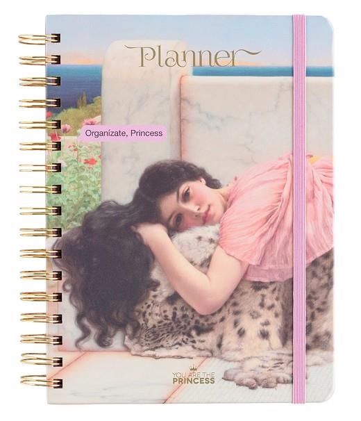 AGENDA PLANNER 2023 YOU ARE THE PRINCESS | 9788418195709 | YOU ARE THE PRINCESS | Llibreria La Gralla | Llibreria online de Granollers