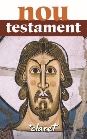 NOU TESTAMENT | 9788491360353 | SIDERA PLANA, JAUME | Llibreria La Gralla | Llibreria online de Granollers