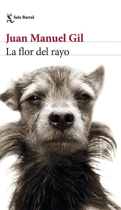 FLOR DEL RAYO, LA | 9788432241574 | GIL, JUAN MANUEL | Llibreria La Gralla | Librería online de Granollers