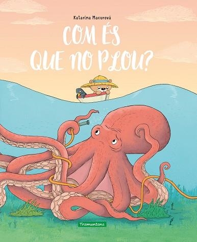 COM ÉS QUE NO PLOU? | 9788418520426 | MACUROVÁ, KATARÍNA | Llibreria La Gralla | Librería online de Granollers