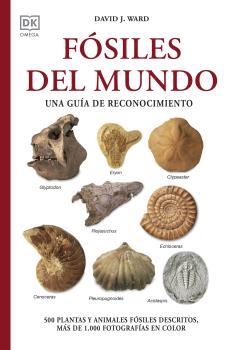 FÓSILES DEL MUNDO | 9788428217569 | WARD, DAVID J. | Llibreria La Gralla | Llibreria online de Granollers