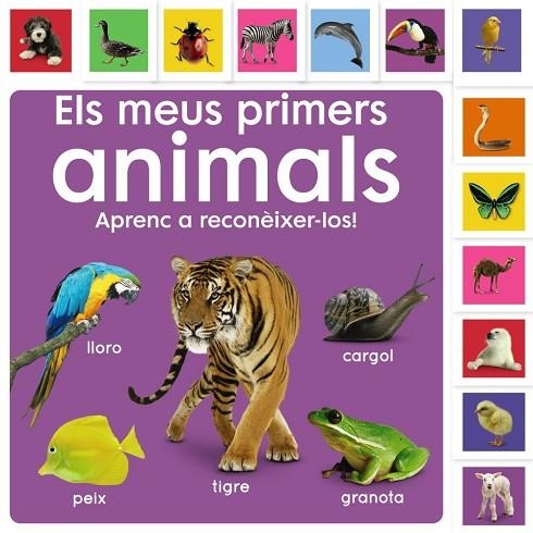 MEUS PRIMERS ANIMALS, ELS. APRENC A RECONÈIXER-LOS! | 9788413492476 | SIRETT, DAWN | Llibreria La Gralla | Librería online de Granollers