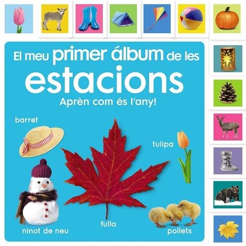 MEU PRIMER ÁLBUM DE LES ESTACIONS, EL. APRENC SOBRE EL TEMPS! | 9788413492483 | SIRETT, DAWN | Llibreria La Gralla | Llibreria online de Granollers