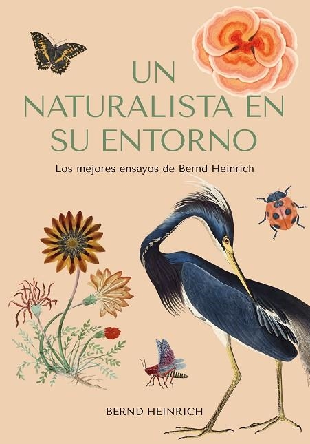 NATURALISTA EN SU ENTORNO, UN  | 9788412618488 | HEINRICH, BERND | Llibreria La Gralla | Llibreria online de Granollers