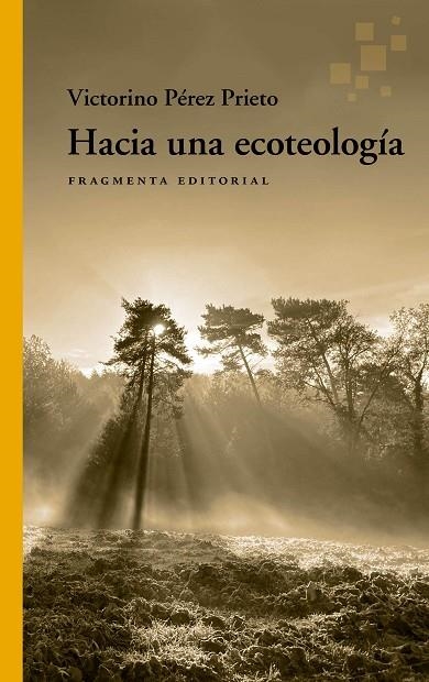 HACIA UNA ECOTEOLOGÍA | 9788417796815 | PÉREZ PRIETO, VICTORINO | Llibreria La Gralla | Librería online de Granollers