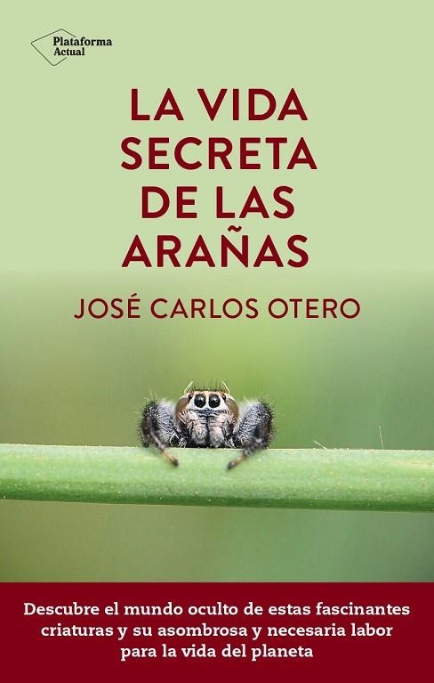 VIDA SECRETA DE LAS ARAÑAS, LA | 9788419655189 | OTERO, JOSÉ CARLOS | Llibreria La Gralla | Llibreria online de Granollers