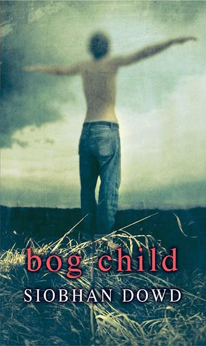 ROLLERCOASTERS: BOG CHILD: SIOBHAN DOWD | 9780198328919 | DOWD, SIOBHAN | Llibreria La Gralla | Llibreria online de Granollers