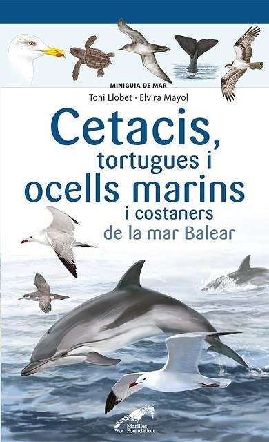 CETACIS, TORTUGUES I OCELLS MARINS I COSTANERS DE LA MAR BALEAR | 9788413562735 | MAYOL, ELVIRA | Llibreria La Gralla | Llibreria online de Granollers