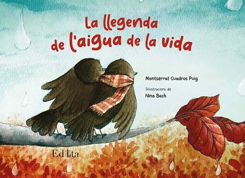 LLEGENDA DE L'AIGUA DE LA VIDA, LA | 9788419476128 | CUADROS PUIG, MONTSERRAT | Llibreria La Gralla | Llibreria online de Granollers