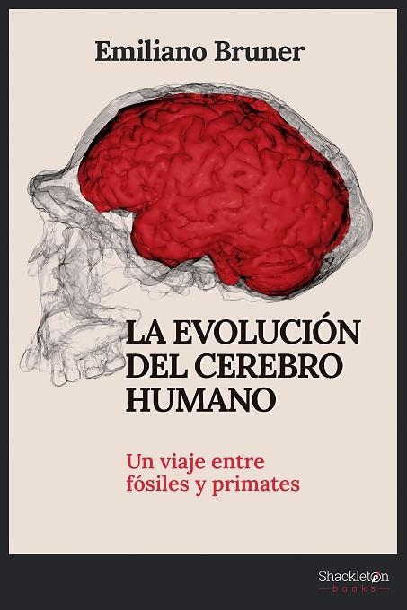 EVOLUCIÓN DEL CEREBRO HUMANO, LA  | 9788413612249 | BRUNER, EMILIANO | Llibreria La Gralla | Llibreria online de Granollers