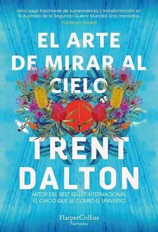 ARTE DE MIRAR AL CIELO, EL  | 9788491398639 | DALTON, TRENT | Llibreria La Gralla | Llibreria online de Granollers