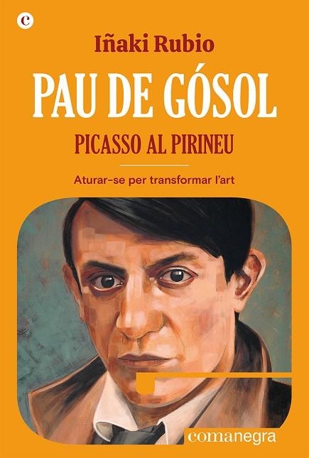 PAU DE GÓSOL. PICASSO AL PIRINEU | 9788419590404 | RUBIO, IÑAKI | Llibreria La Gralla | Librería online de Granollers