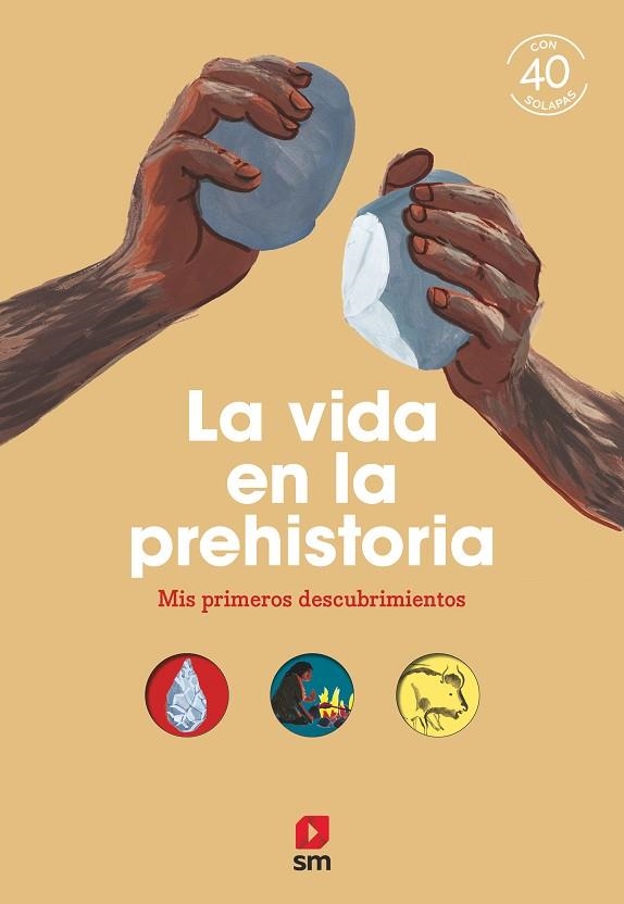 VIDA EN LA PREHISTORIA, LA | 9788498564945 | BORDET-PETILLON, SOPHIE | Llibreria La Gralla | Llibreria online de Granollers