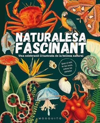 NATURALESA FASCINANT | 9788419095596 | MOSQUITO BOOKS | Llibreria La Gralla | Llibreria online de Granollers