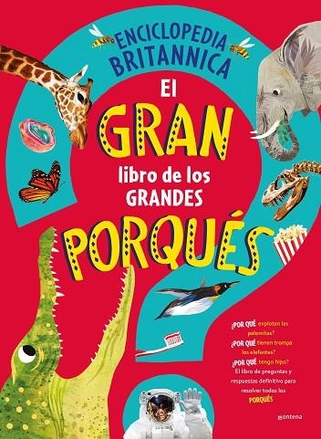 GRAN LIBRO DE LOS GRANDES PORQUÉS, EL | 9788419501561 | VVVAA | Llibreria La Gralla | Llibreria online de Granollers