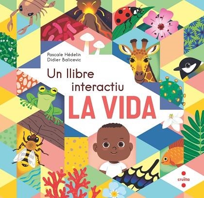 VIDA, UN LLIBRE INTERACTIU, LA | 9788466154864 | HÉDELIN, PASCALE | Llibreria La Gralla | Llibreria online de Granollers