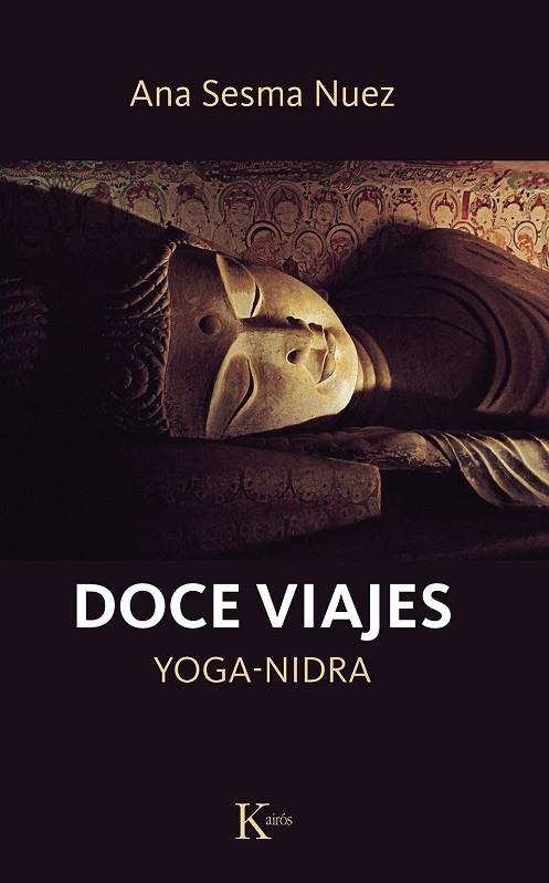 DOCE VIAJES | 9788411211994 | SESMA NUEZ, ANA | Llibreria La Gralla | Llibreria online de Granollers