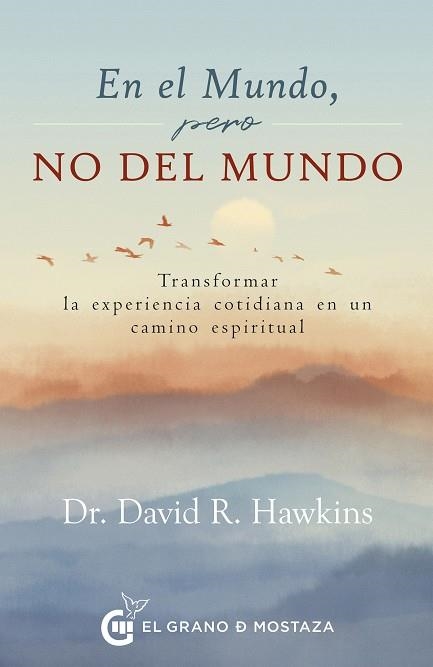 EN EL MUNDO, PERO NO DEL MUNDO | 9788412734041 | HAWKINS, DAVID R. | Llibreria La Gralla | Librería online de Granollers
