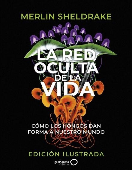 RED OCULTA DE LA VIDA, LA  (EDICIÓN ILUSTRADA) | 9788408276692 | SHELDRAKE, MERLIN | Llibreria La Gralla | Llibreria online de Granollers