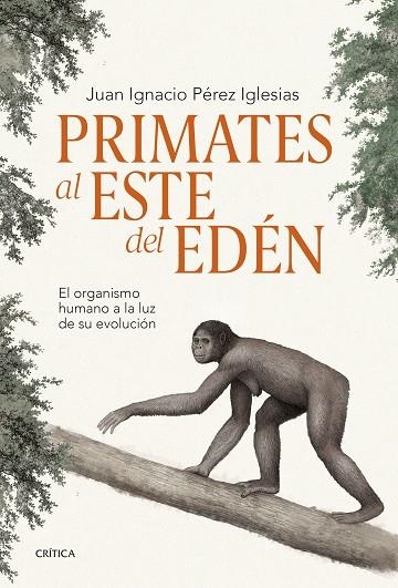 PRIMATES AL ESTE DEL EDÉN | 9788491995869 | PÉREZ IGLESIAS, JUAN IGNACIO | Llibreria La Gralla | Librería online de Granollers