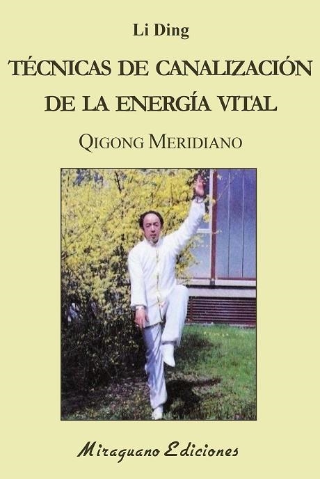 TÉCNICAS DE CANALIZACIÓN DE LA ENERGÍA VITAL | 9788478135103 | LI DING | Llibreria La Gralla | Llibreria online de Granollers